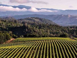 California Wineries
