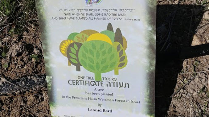 Сертификат о посадке дерева