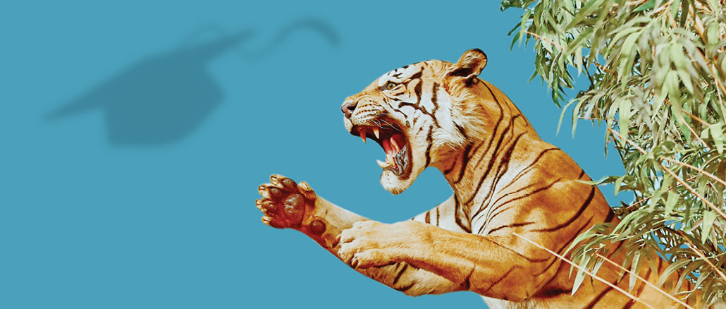 Постер к спектаклю “Tiger Style!”