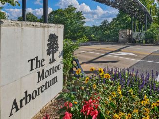 The Morton Arboretum