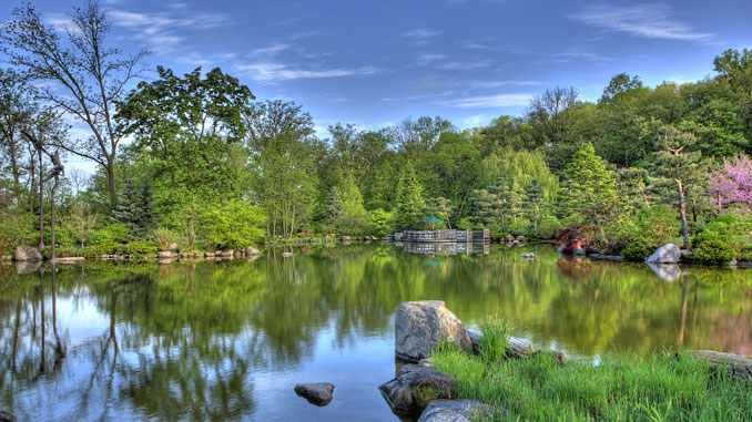 Anderson Japanese Gardens