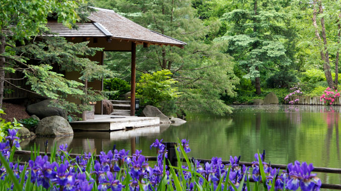 Anderson Japanese Gardens