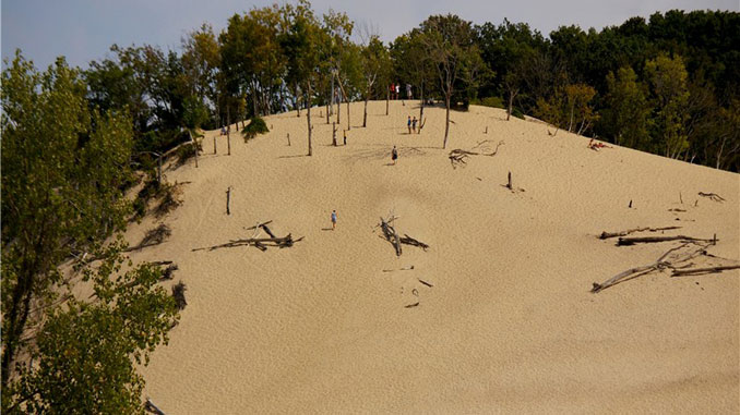 Warren Dunes State Park