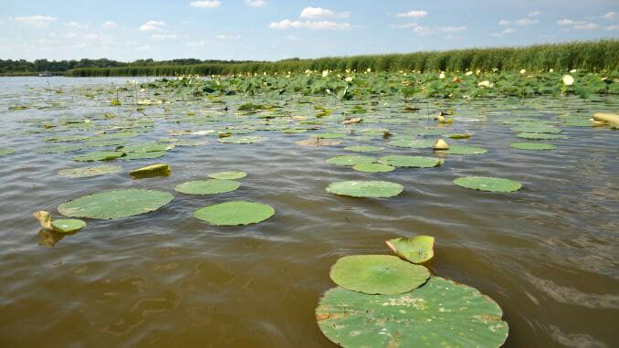 Chain O’Lakes