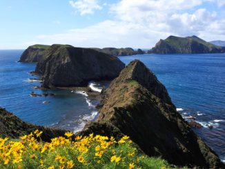 Channel Islands National Park