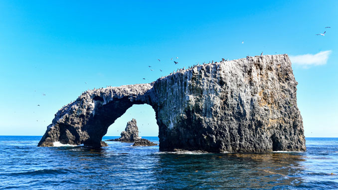 Channel Islands National Park