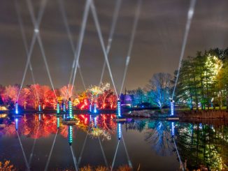 Tree Lights в Morton Arboretum