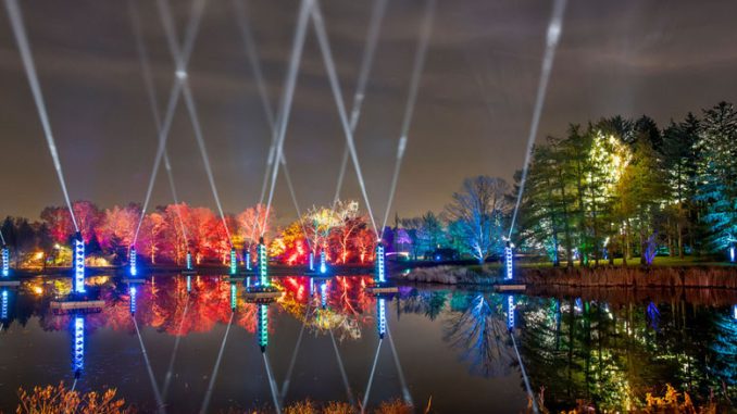 Tree Lights в Morton Arboretum