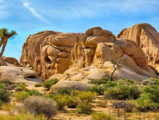 Joshua Tree National Park