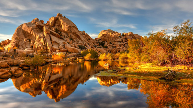 Joshua Tree National Park