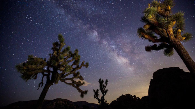 Joshua Tree National Park