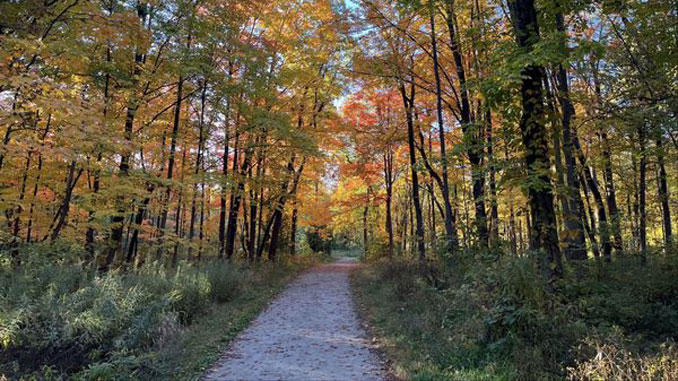 Prikosnites' k prirode v River Trail Nature Center v Norsbruke