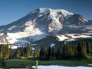 Mount Rainier National Park