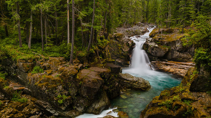 Mount Rainier National Park