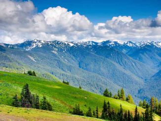 Olympic National Park