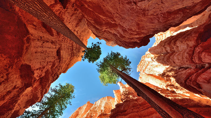 Bryce Canyon National Park