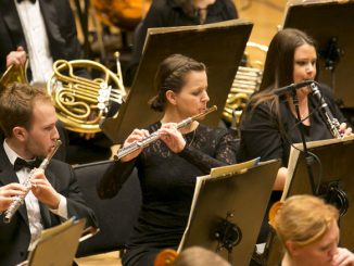 Civic Orchestra. Фото - Тодд Розенберг