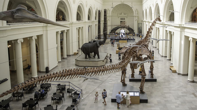 Field Museum