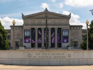 Field Museum