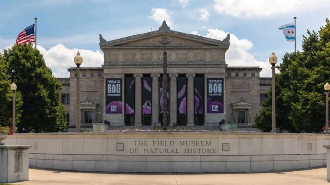 Field Museum