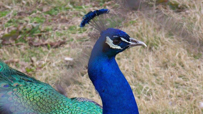 Kentucky Down Under Adventure Zoo