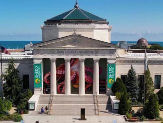 Shedd Aquarium