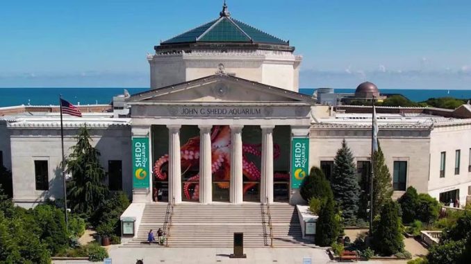 Shedd Aquarium