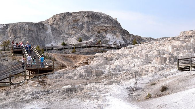 Mammoth Hot Springs