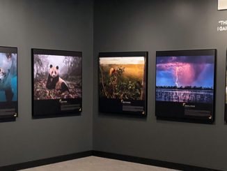 Dunn Museum National Geographic