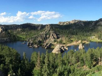 Custer State Park