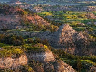 Theodore Roosevelt National Park
