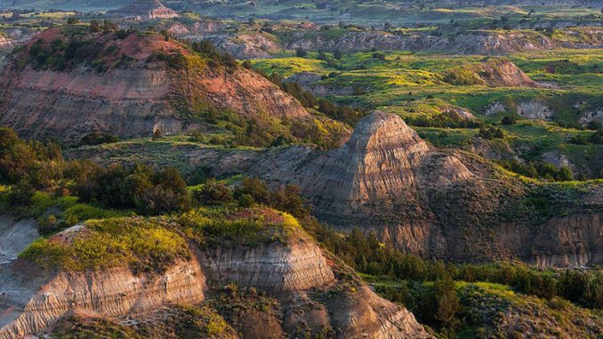 Theodore Roosevelt National Park