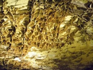 Wind Cave National Park