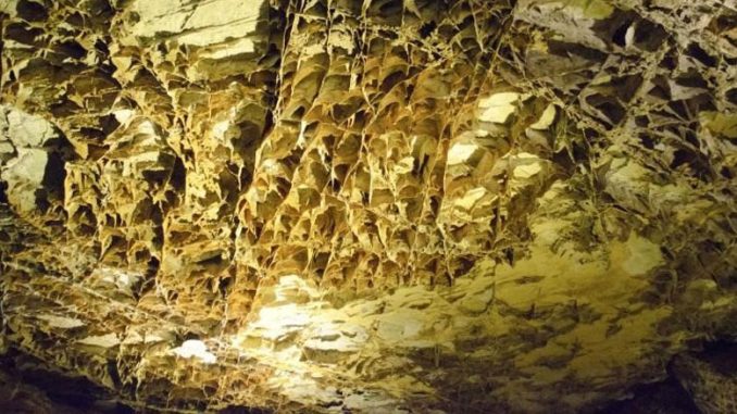Wind Cave National Park