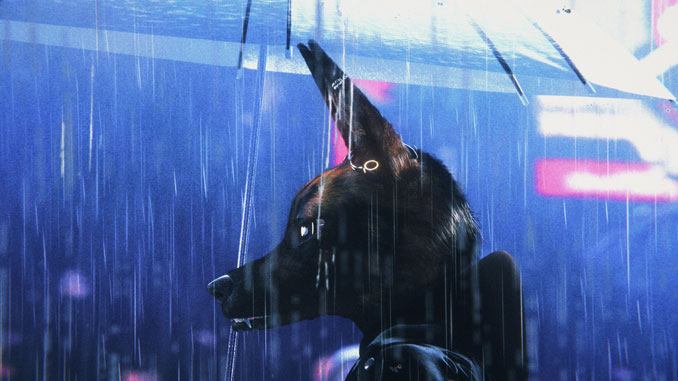 Кадр из фильма “Бушра”. Фото - Lizards Production