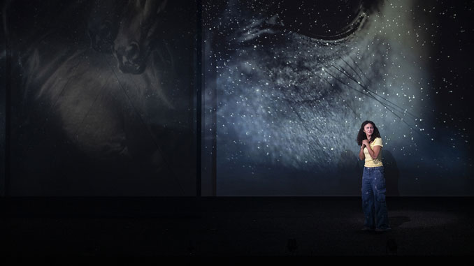 Сцена из спектакля “Мистер Вулф”. Фото - Майкл Бросилоу