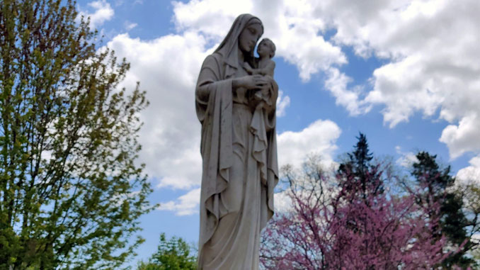 University of St. Mary of the Lake