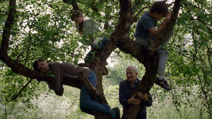 Кадр из фильма “Ветер, поговори со мной”. Фото - CIFF