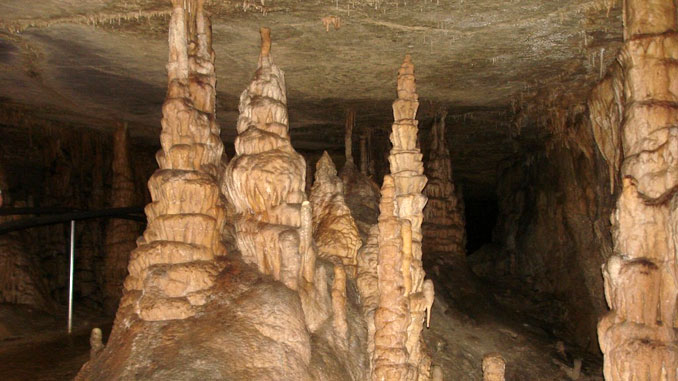 Mammoth Cave National Park