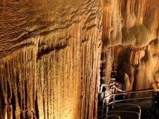 Mammoth Cave National Park