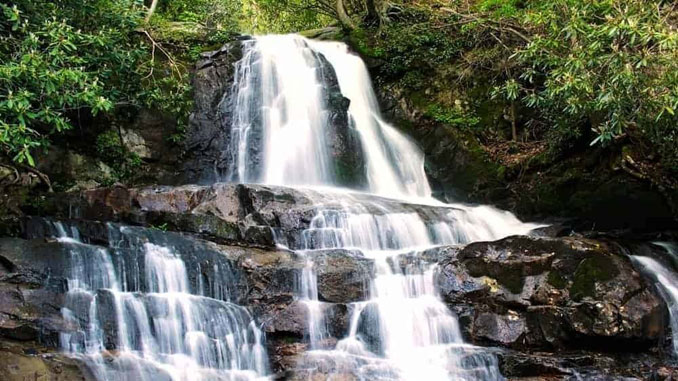 The Great Smoky Mountains National Park