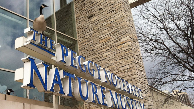 Peggy Notebaert Nature Museum