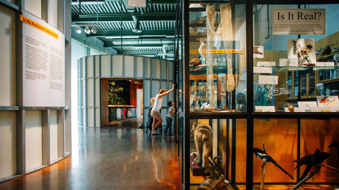 Peggy Notebaert Nature Museum