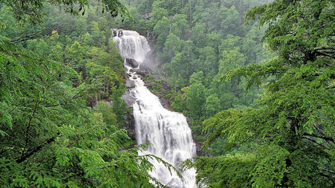 Pisgah National Forest
