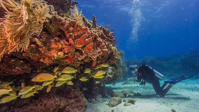 Biscayne National Park