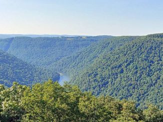 Coopers Rock State park