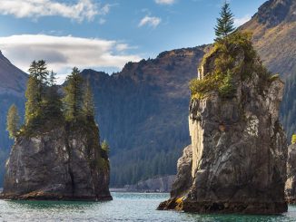 Kenai Fjords National Park