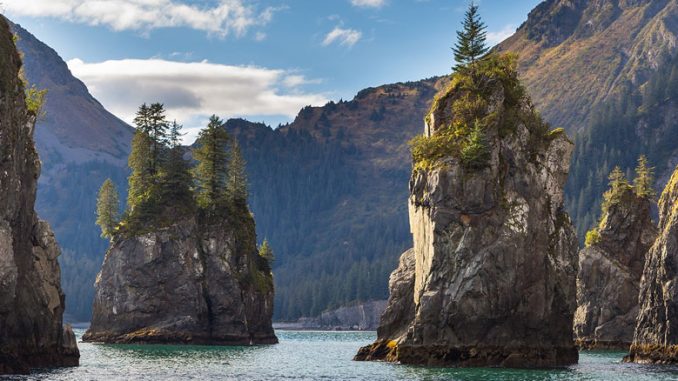 Kenai Fjords National Park
