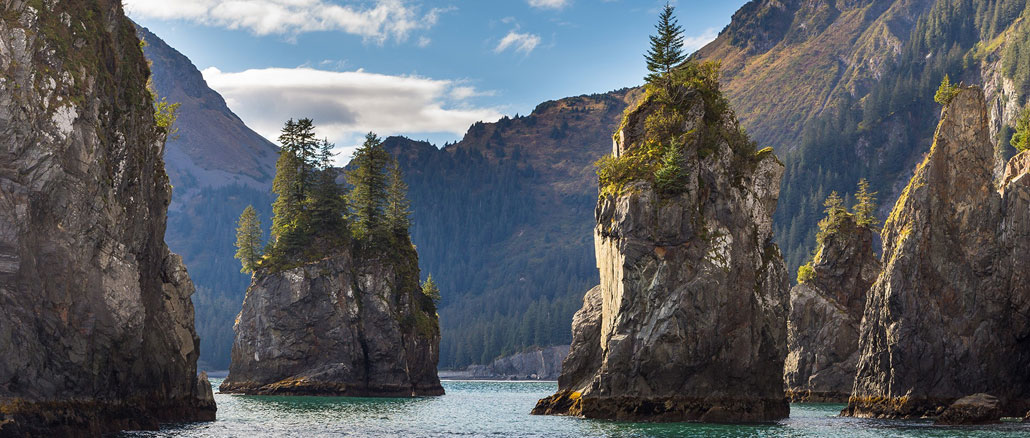 Kenai Fjords National Park