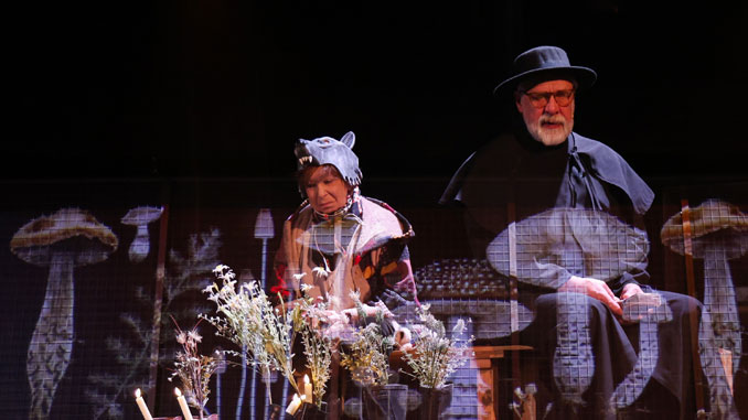 Сцена из спектакля “Веди свой плуг по костям мертвецов”. Фото - Cherry Orchard Festival